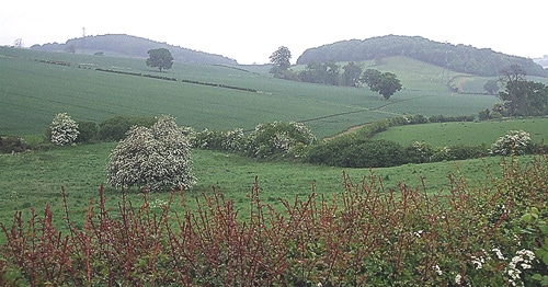 Rural-Staffordshire
